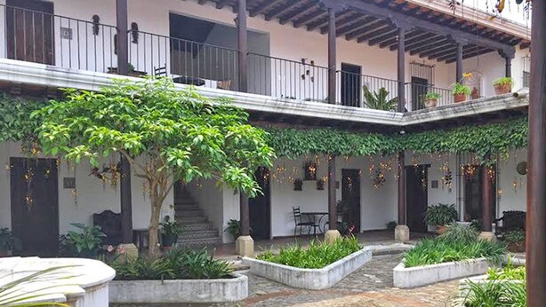 A courtyard with a central tree, potted plants, and a covered seating area. - Casita Buena Vista (Antigua Guatemala)