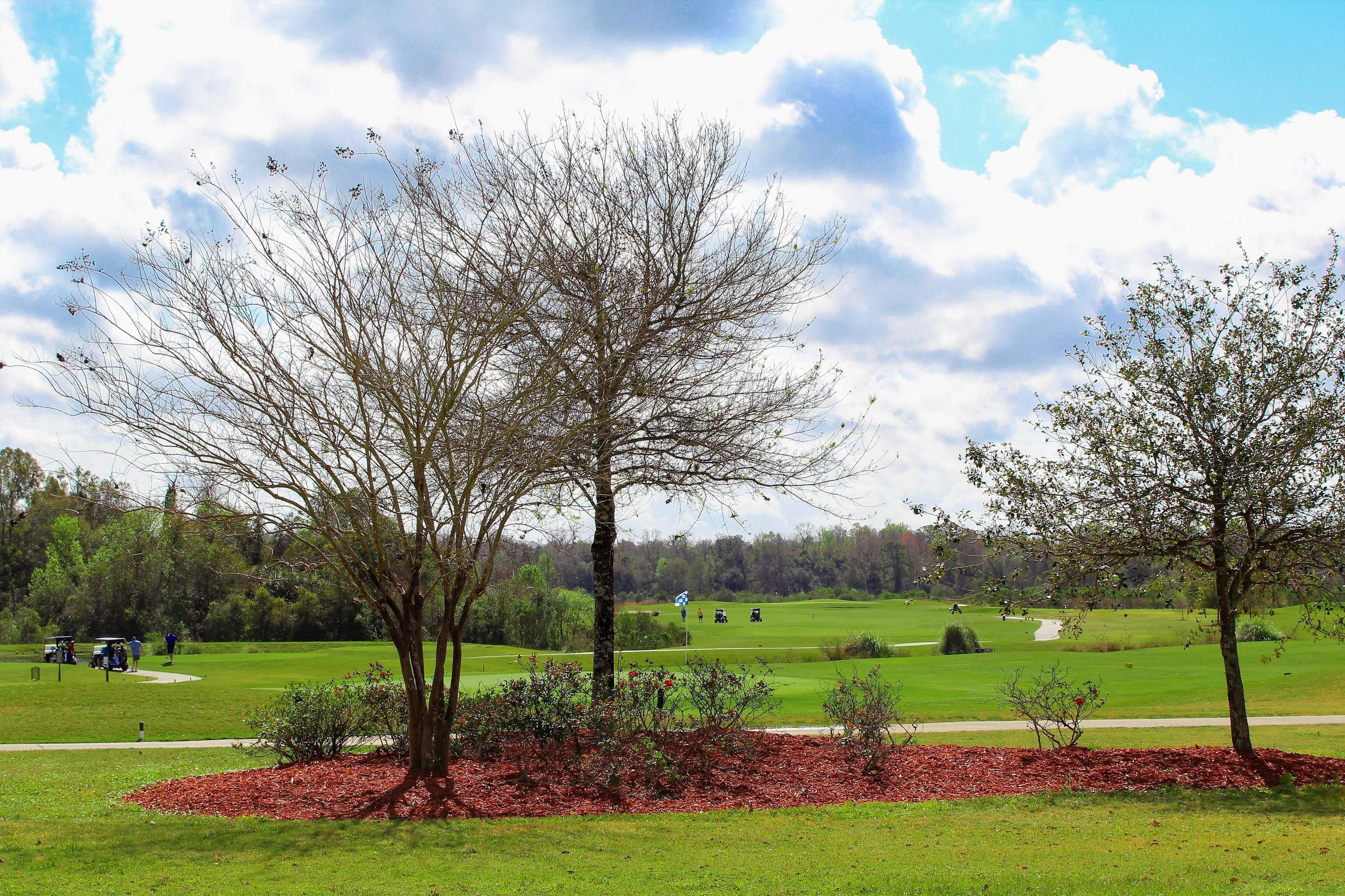 Family House | Property grounds