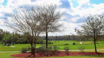 Casa família | Área da propriedade