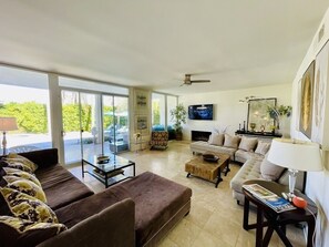 Una Smart TV, una chimenea, un reproductor de DVD, libros