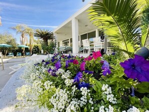 Jardines del alojamiento