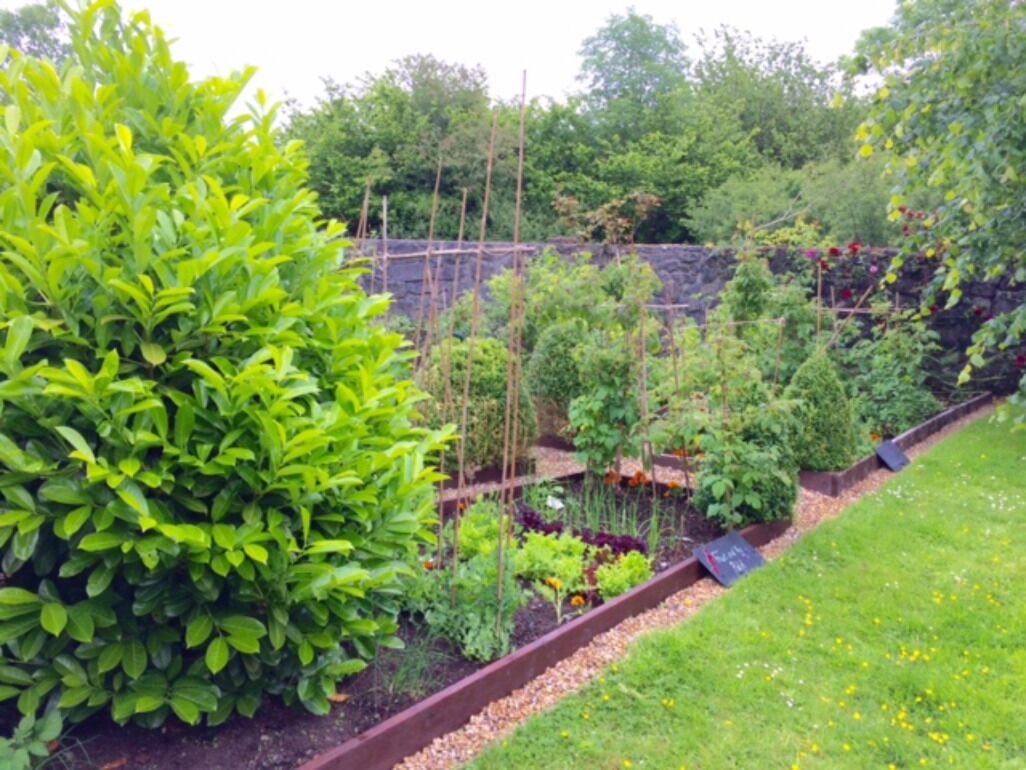 Áreas de la propiedad