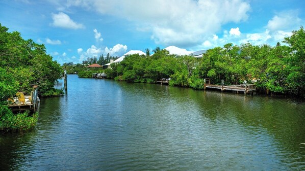 Unclassified image, 1 of 40, button