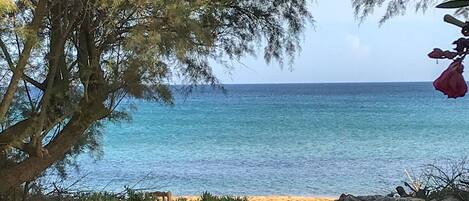 ビーチの近く、サンラウンジャー、ビーチタオル