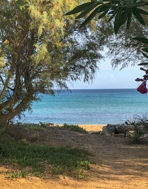 Un sentier côtier offrant une vue sur la mer, bordé d’arbres et de rochers.