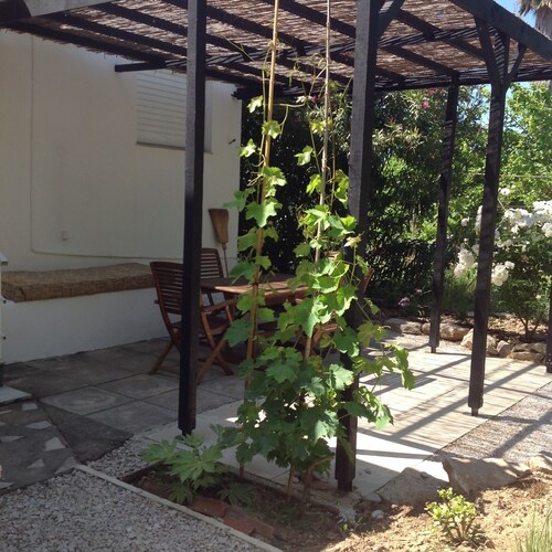 Stone's Throw Cottage by the sea in Koroni - sleeps 6