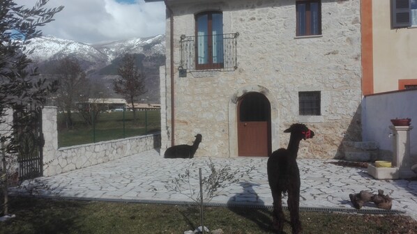 A stone building with a courtyard, a gate, and a mountain view. - Alvitano Small Refuge CIN IT060004C2QP33ZZLX (Alvito, Frosinone)