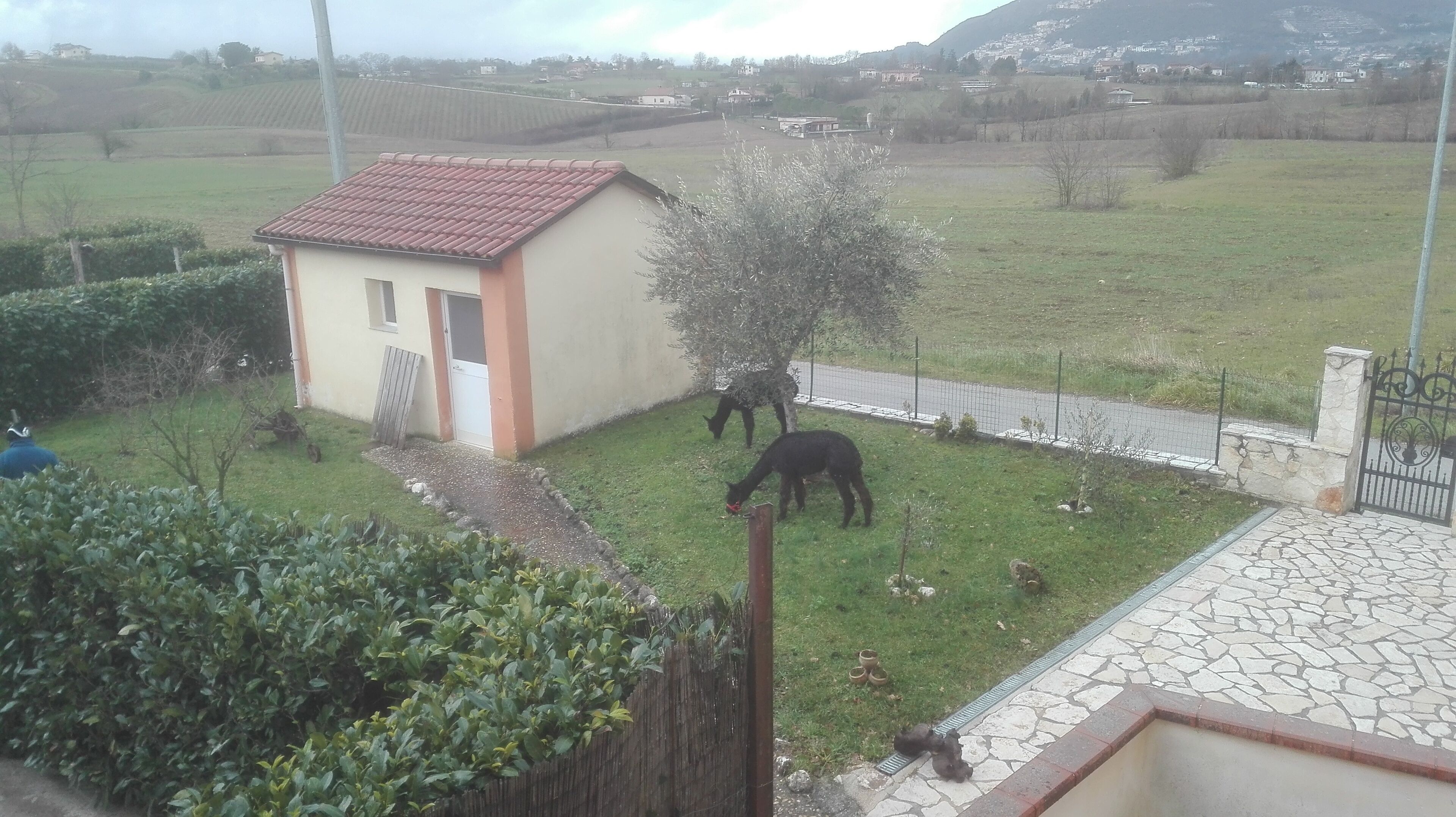 Ländliche Landschaft mit einem kleinen Haus, einem umzäunten Hof und weidenden Tieren.
