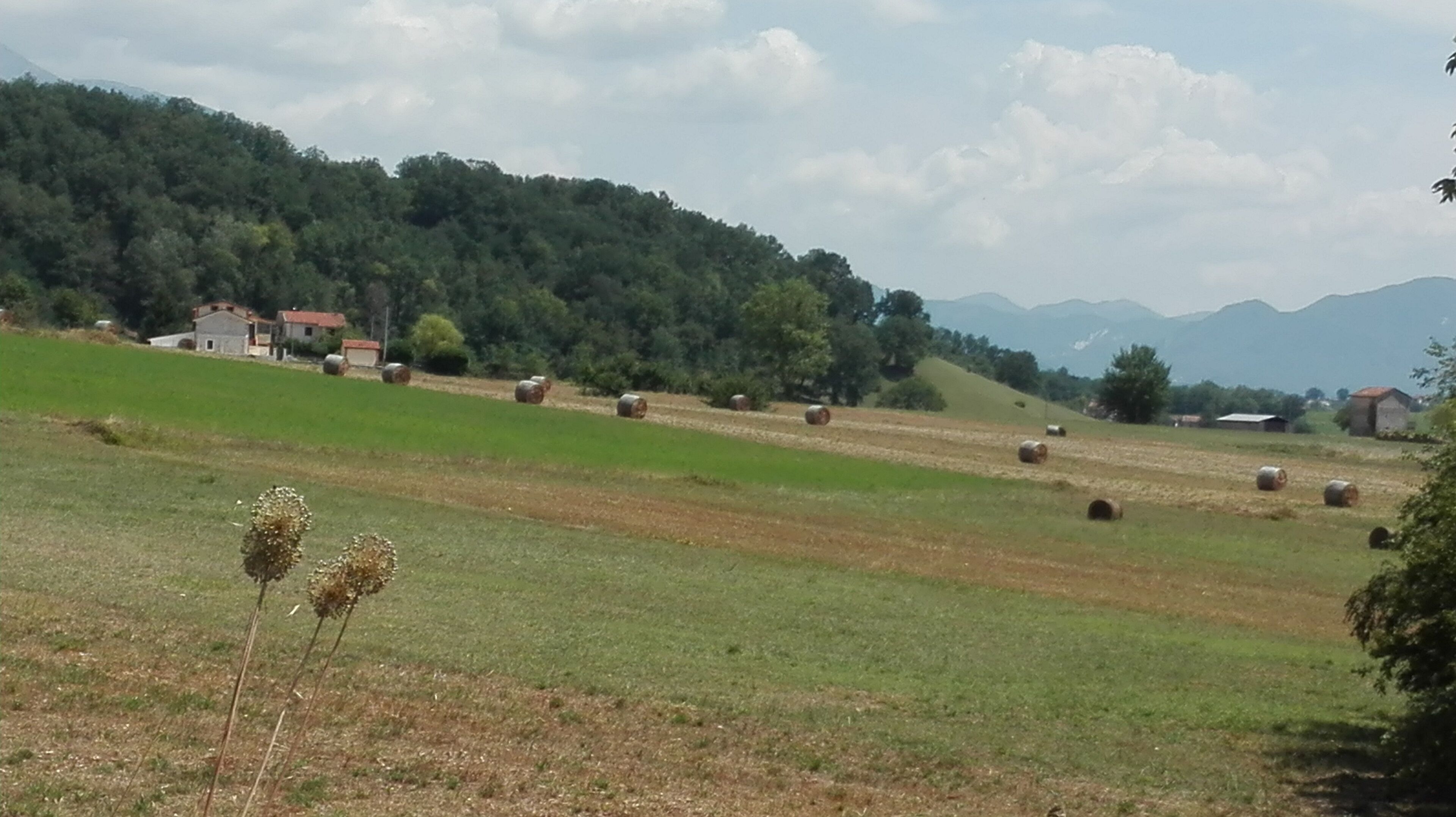 A rural landscape with fields, hay bales, and scattered buildings.