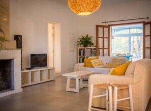 TV, fireplace, books, stereo