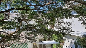 A courtyard with a seating area, a small garden, and a building with a white exterior. - Concept Yard Chiangrai - Adults Only - Hostel (Chiang Rai)