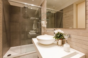Shower, hair dryer, bidet, towels