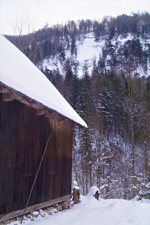 Situated in a serene forest, this cabin offers a tranquil retreat with a sloped roof and traditional architecture.
