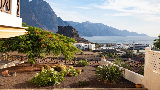 A terrace with cacti and succulents, overlooking a coastal town and mountains. - Luxurious apartment with garden (Agaete)