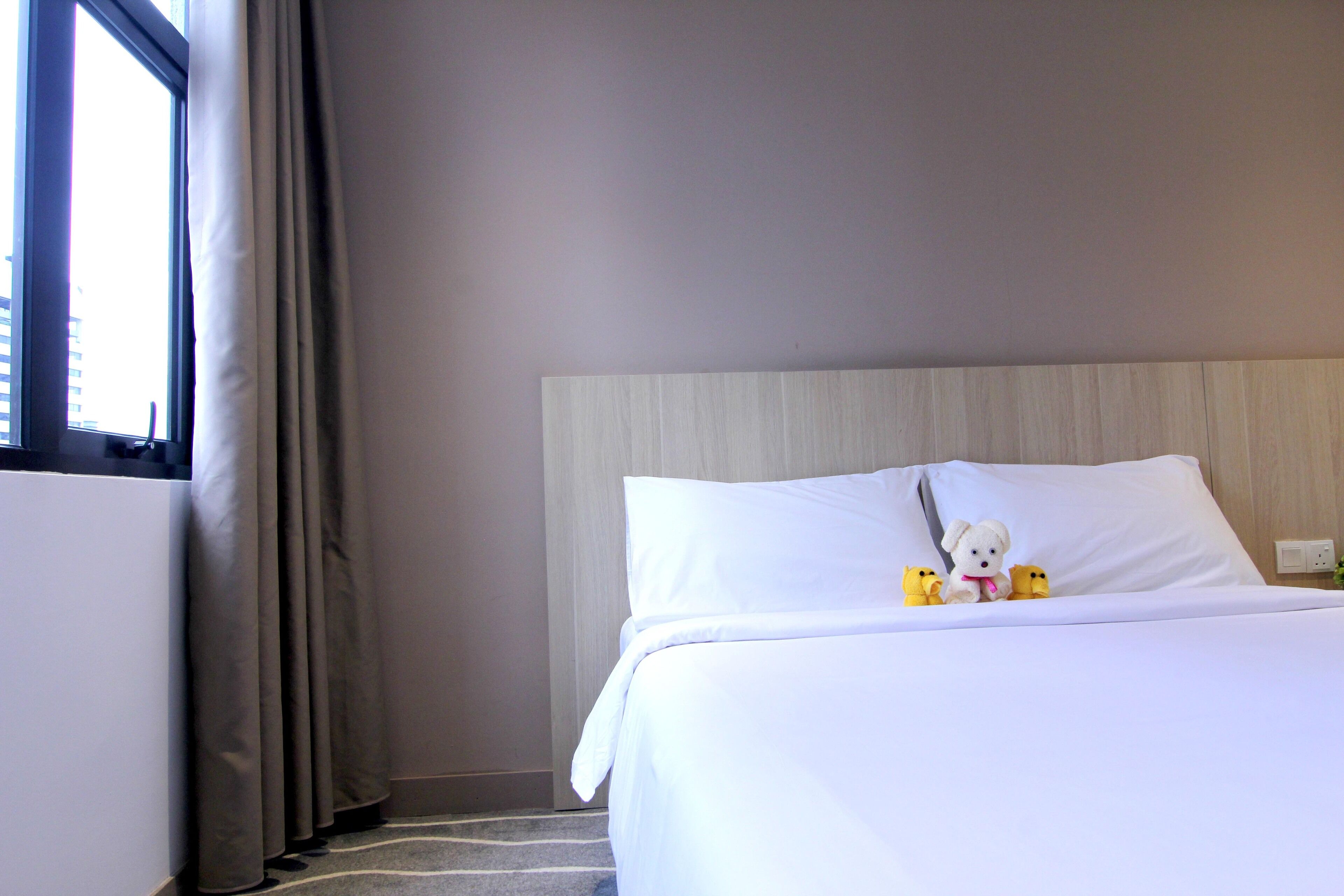 A hotel room with a bed, a window with curtains, and a teddy bear on the bed.