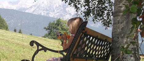 Terrein van de accommodatie