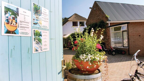 A wooden structure with a blue door, a potted plant with flowers, and a bicycle.