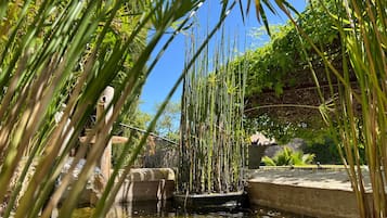 Jardines del alojamiento