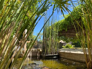 Un jardin paisible agrémenté d’un élément aquatique, entouré d’une végétation luxuriante et surplombé d’un ciel d’un bleu limpide.
