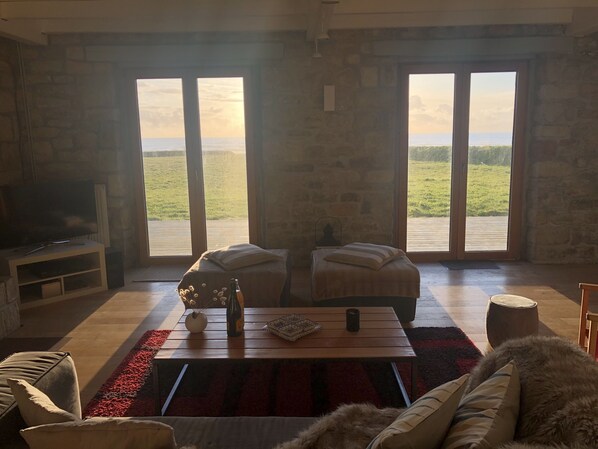 Télévision, cheminée, lecteur de DVD, livres