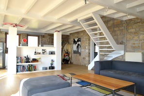 Télévision, cheminée, lecteur de DVD, livres