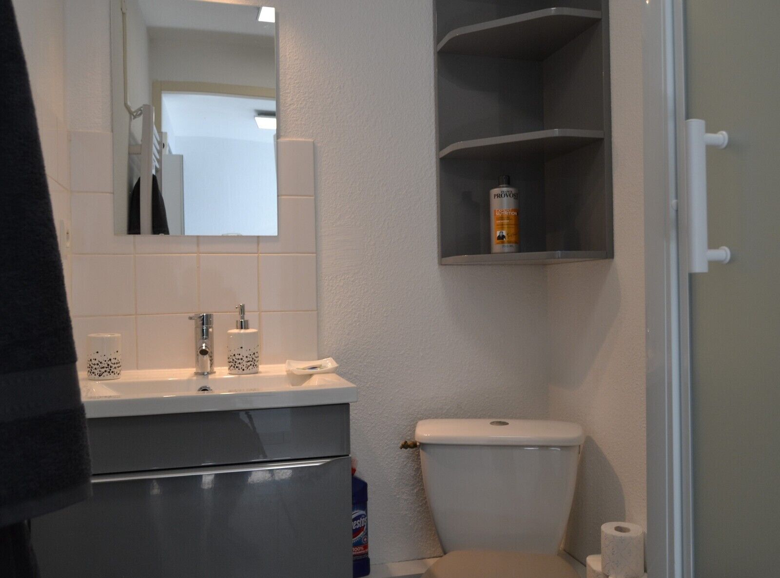 A bathroom with a toilet, sink, mirror, and shelves with toiletries.