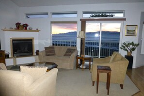 Televisión, chimenea, reproductor de DVD y libros 