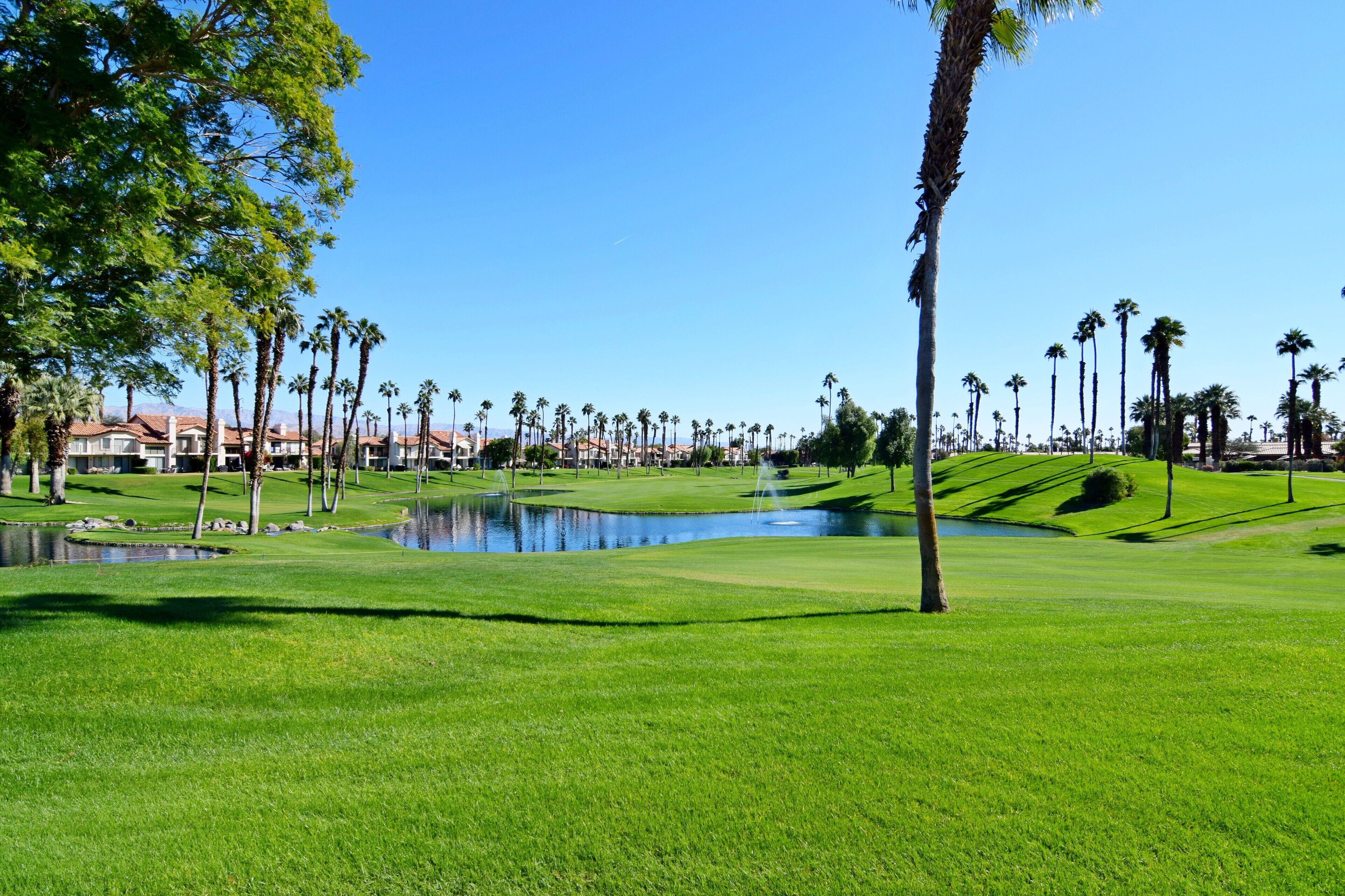 Ein Golfplatz mit Teich, Palmen und blauem Himmel.