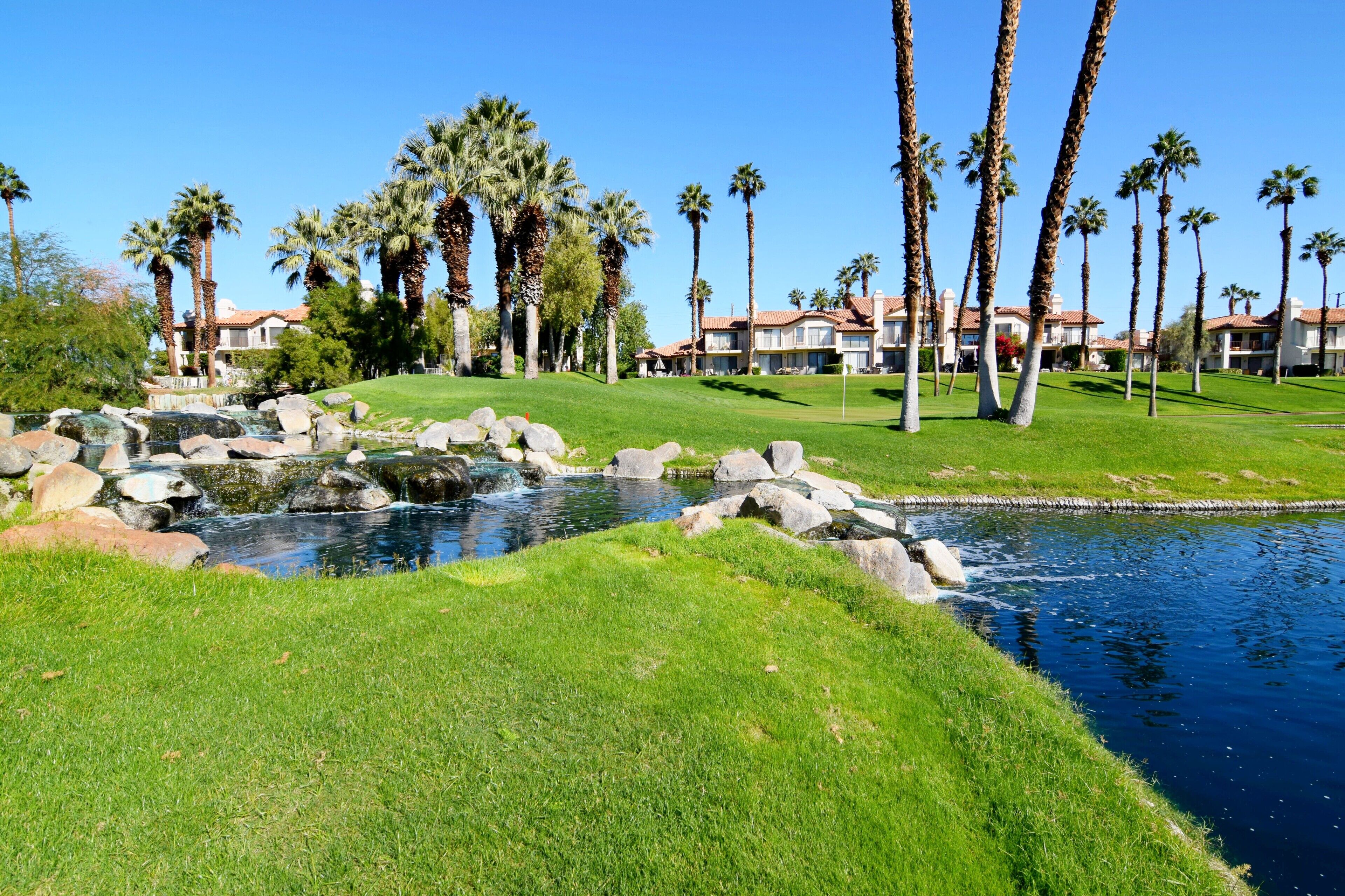 A golf course with a pond, palm trees, and houses in the background.