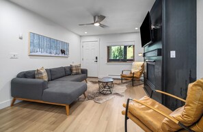 Smart TV, fireplace, books