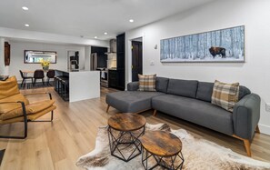 TV connectée, cheminée, livres