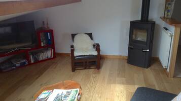 Télévision, cheminée, lecteur de DVD, vidéothèque