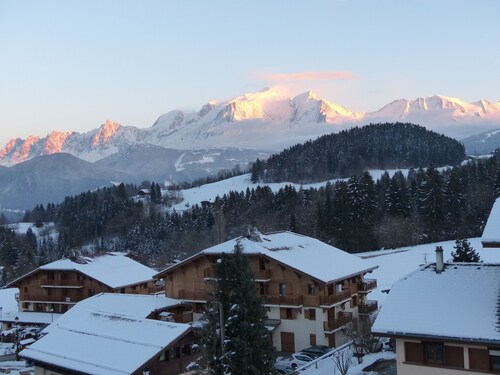 Appartement de charme face au Mont-Blanc.