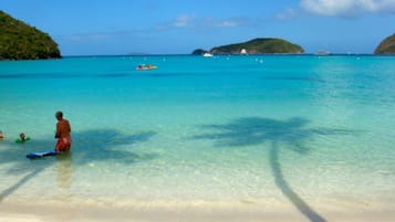 Camastros y toallas de playa