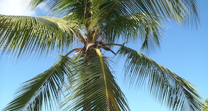 Grande Baie SUNSWEPT Studio de luxe Cruz Bay WIFI, du 16 au 27 juillet, du 3 au 20 août
