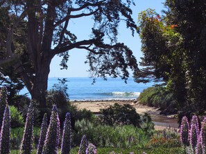 Private drive into Rincon Point neighborhood