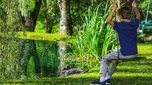Un enfant sur une balançoire, au-dessus d’un étang où nagent des canards.