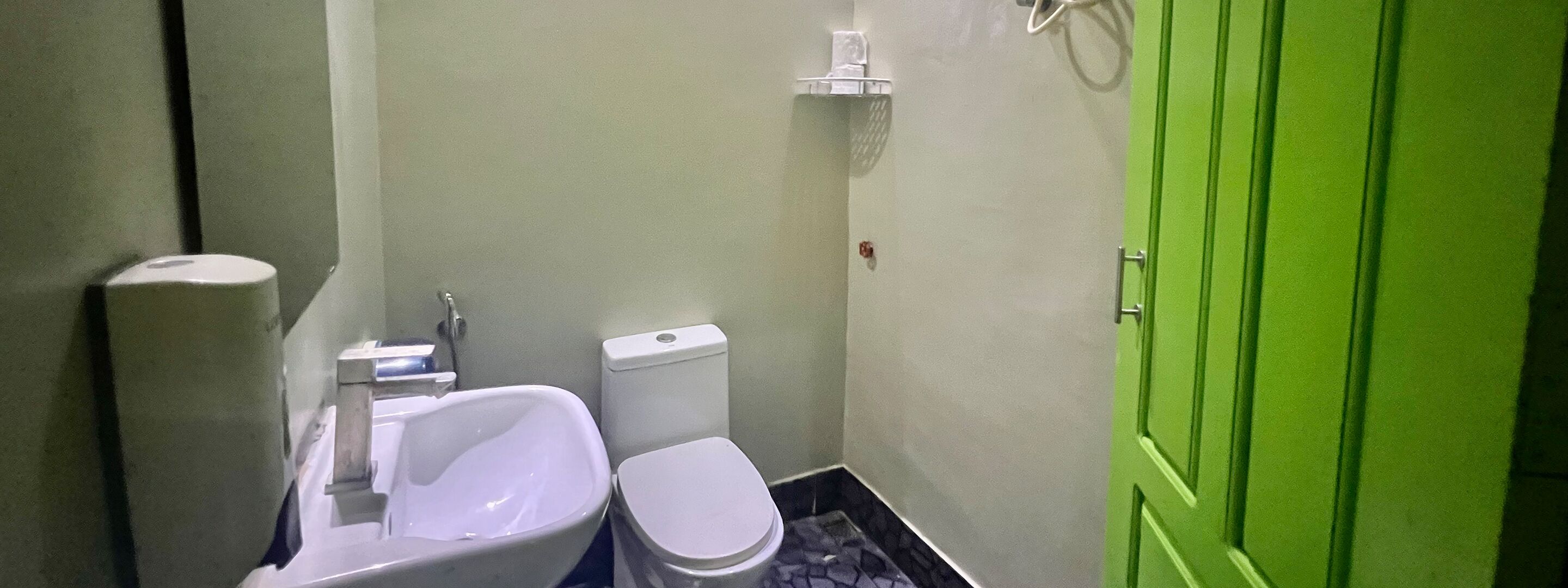 A small bathroom with a sink, toilet, and green door.