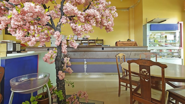 Interior de restaurante con un mostrador central, sillas de madera, un árbol en maceta con flores rosadas y suelo de baldosas.