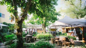An outdoor café with wooden tables and chairs, surrounded by lush greenery and trees. - Suan Tung Coffee (Chiang Rai)