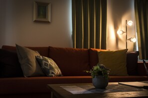 Apartment, Non Smoking (  101 ) | Living room