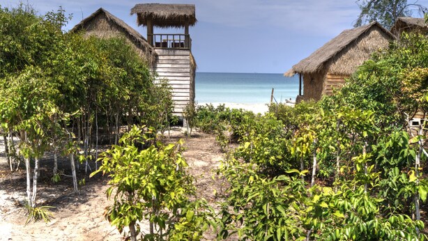 Un resort en la playa con cabañas de techo de paja, un sendero arenoso y exuberante vegetación.