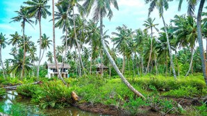 A tropical landscape with palm trees and a small white building with a thatched roof. - Milkyway Holiday Resort (Unawatuna)