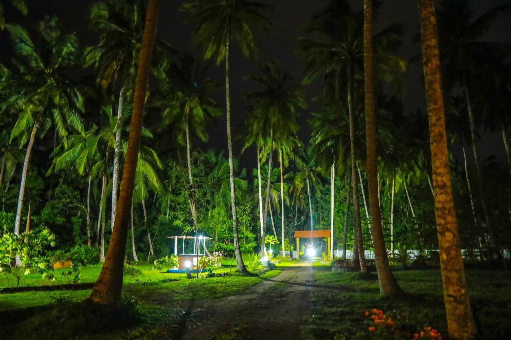 Vista noturna de um caminho ladeado por palmeiras altas que leva a uma estrutura tipo gazebo com telhado, cercada por vegetação exuberante.