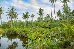 View from property - Milkyway Holiday Resort (Unawatuna)