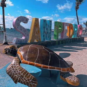 A turtle sculpture with the letters spelling "SAN PEDRO BELIZE" in the background. - Drift Inn San Pedro (San Pedro)