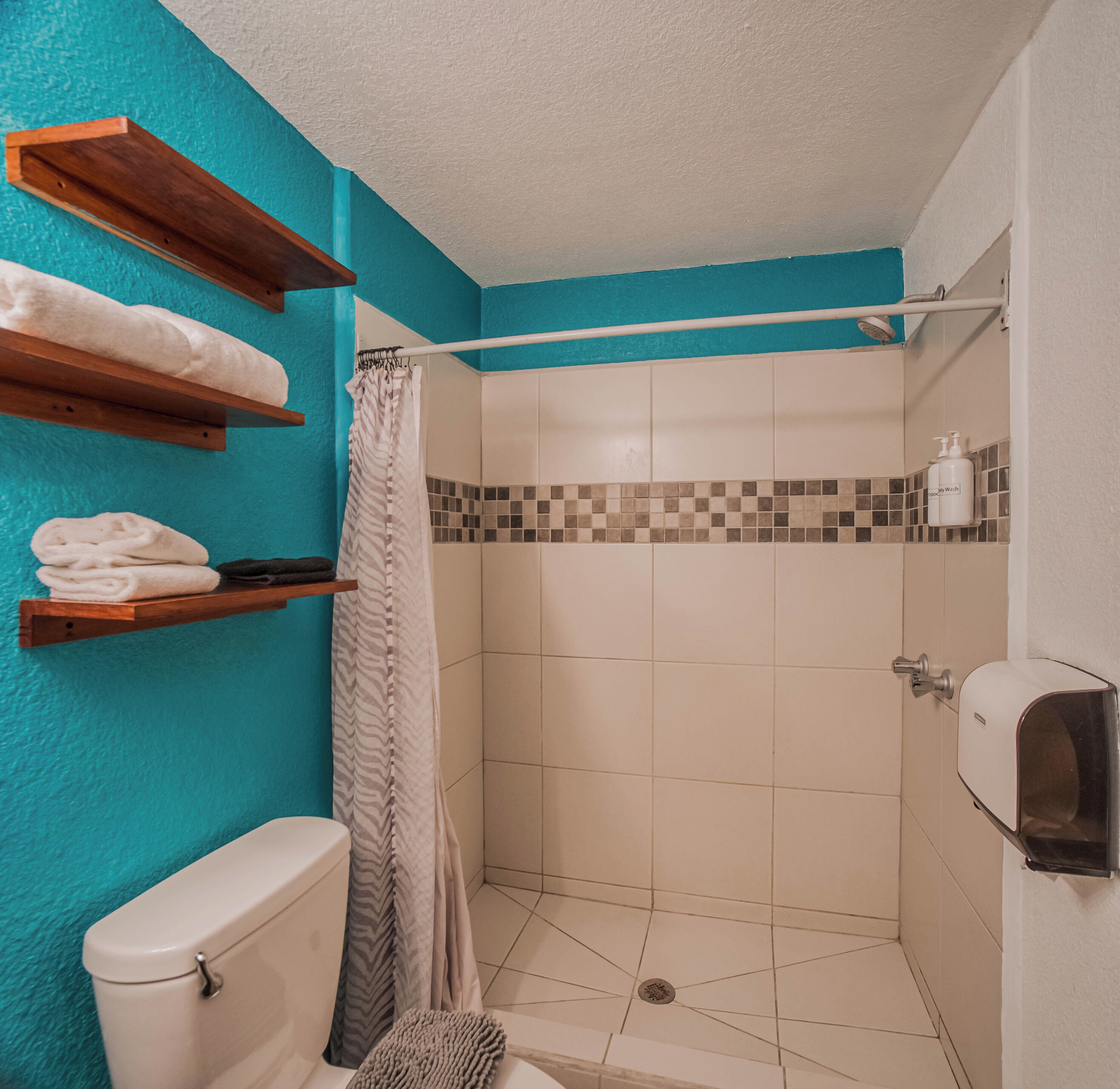 comfort double room, 1 king bed | bathroom | shower, hair dryer, towels