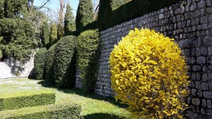Property grounds - Palazzo Scolari B&B (Polcenigo)