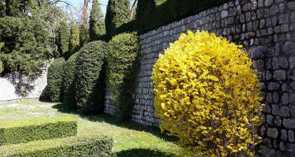 Palazzo Scolari B&B