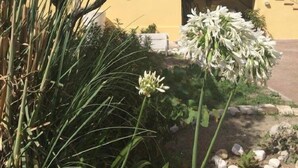 Un bâtiment jaune doté de nombreuses fenêtres et de balcons.